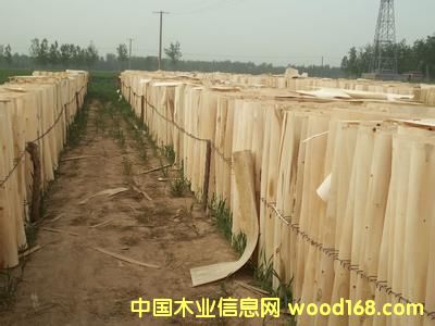 ������Ԕ����B