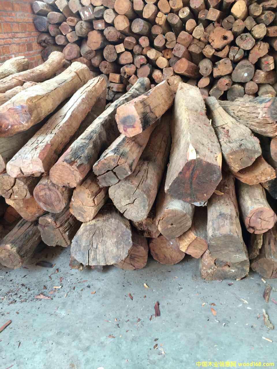 �ϓ�ݻ����Ԕ����B