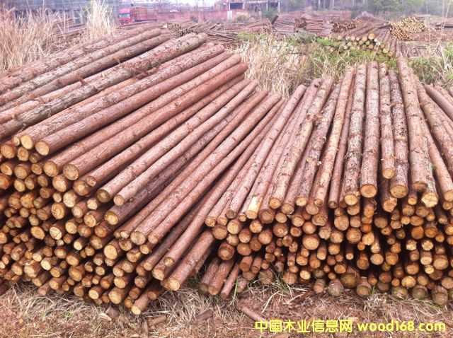 ɼԭľ��Ԕ����B