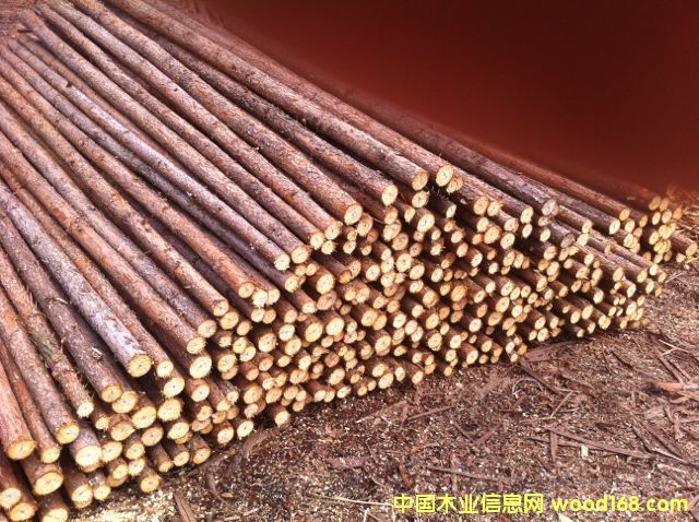 ɼԭľ��Ԕ����B