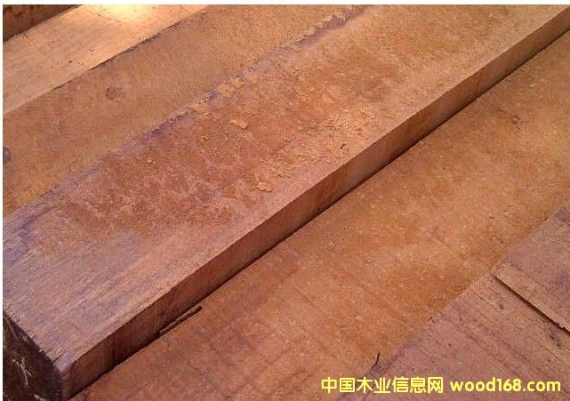 ӡ���һ�о��Ԕ����B