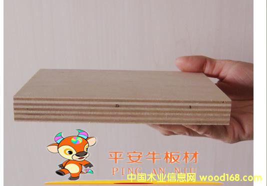 12����Ӱ��������z�ϰ���ƽ��ţ�Ƶ�Ҿ߰�ĵ�Ԕ����B