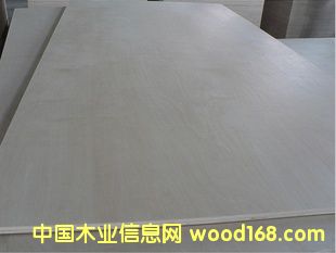 E0,E1�����Ӱ����ߙn�Ƶ�Ҿ߰���9���z�ϰ��Ԕ����B