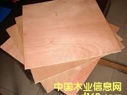 Plywood Keruing Face/Back��Ԕ��(x��)��B