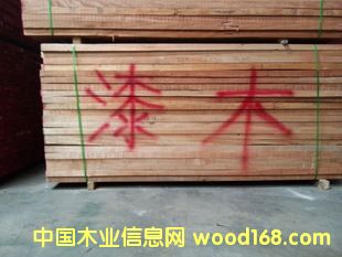 ���_�T����ľ��Ԕ����B