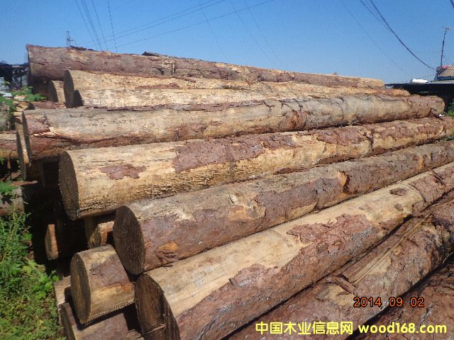 ���~��ԭľ��Ԕ����B