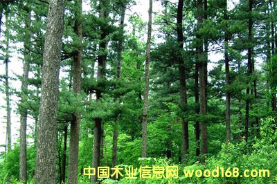 �c���鿴��Ҫ�������I�M�ڼҾ߈��P��z�����Ϻ��C�����P�е�Ԕ���Y��