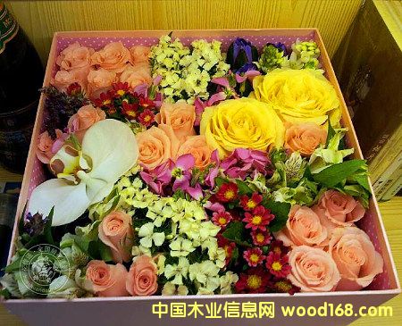�c���鿴�M�ں��m���߲�õ����Ҫ��Щ���C�����Ϻ��C�����P�е�Ԕ���Y��