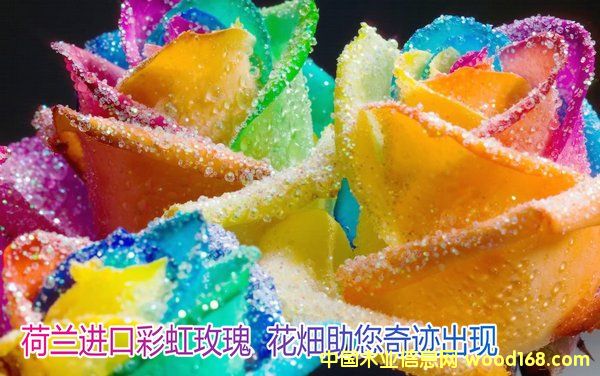 �c���鿴�Ϻ�������H�M���ڈ��P������˾�Ϻ��C���󻨻܈��P������Ԕ���Y��