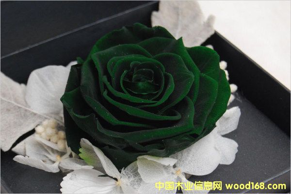 �c���鿴�����M�ڈ��P��Ҫ��Щ���C���Y���Ϻ��C�����P�е�Ԕ���Y��
