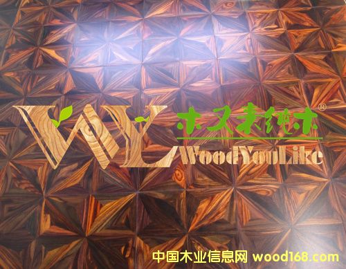 ľ�ց��ں��Ҍ�(sh��)ľƴ���ذ��Ԕ��(x��)��B