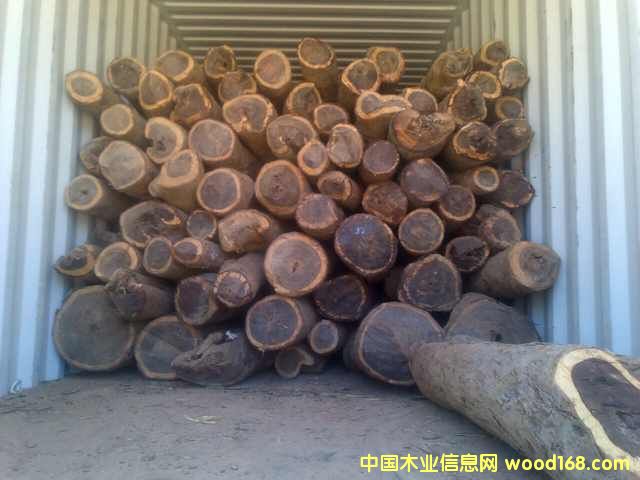 Ѫ̴ԭľһ��؛Դ