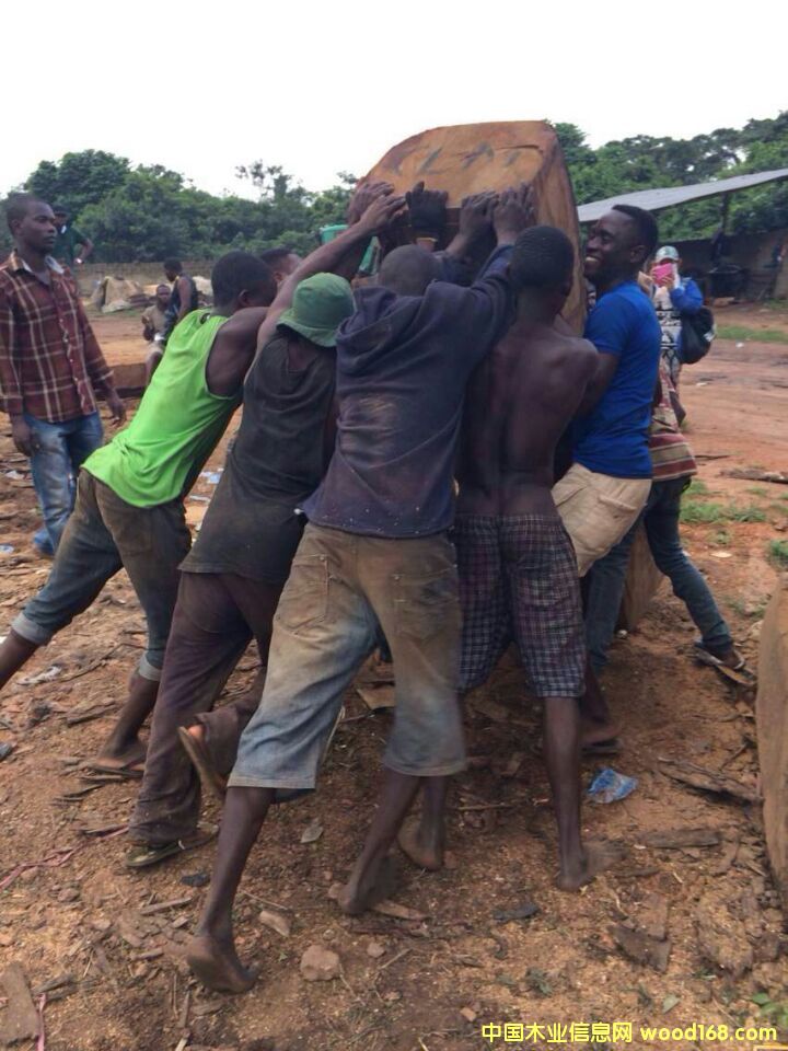 �Ӽ{�����̴��Ԕ����B