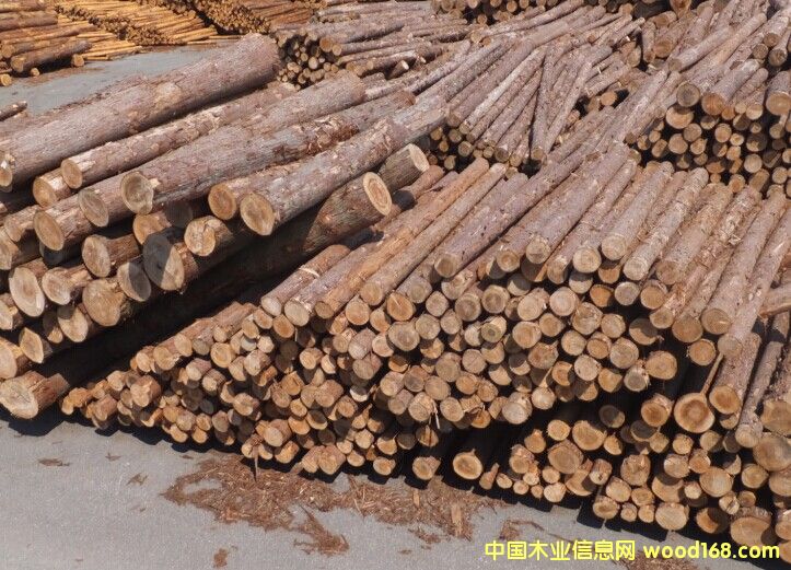 ��ɼԭľ��Ԕ����B