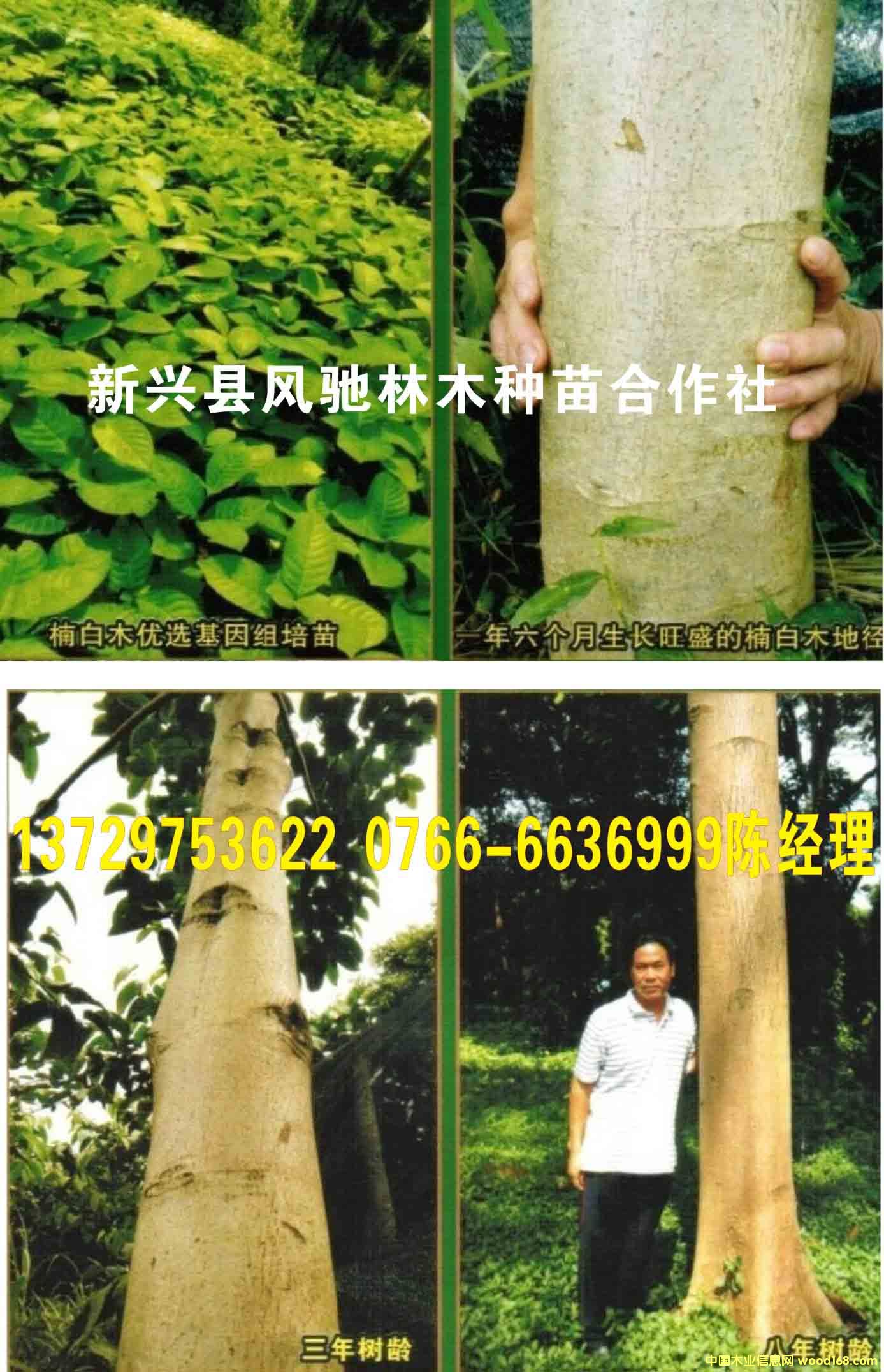 �c���鿴骰�ľ(ӡ��������ľ�)�Ŵ�DƬ