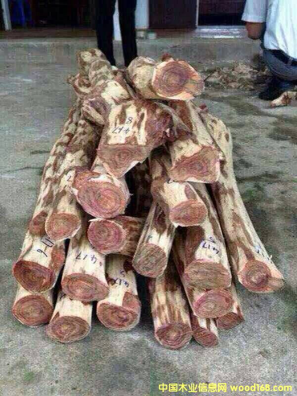 Խ���S�����Ԕ����B