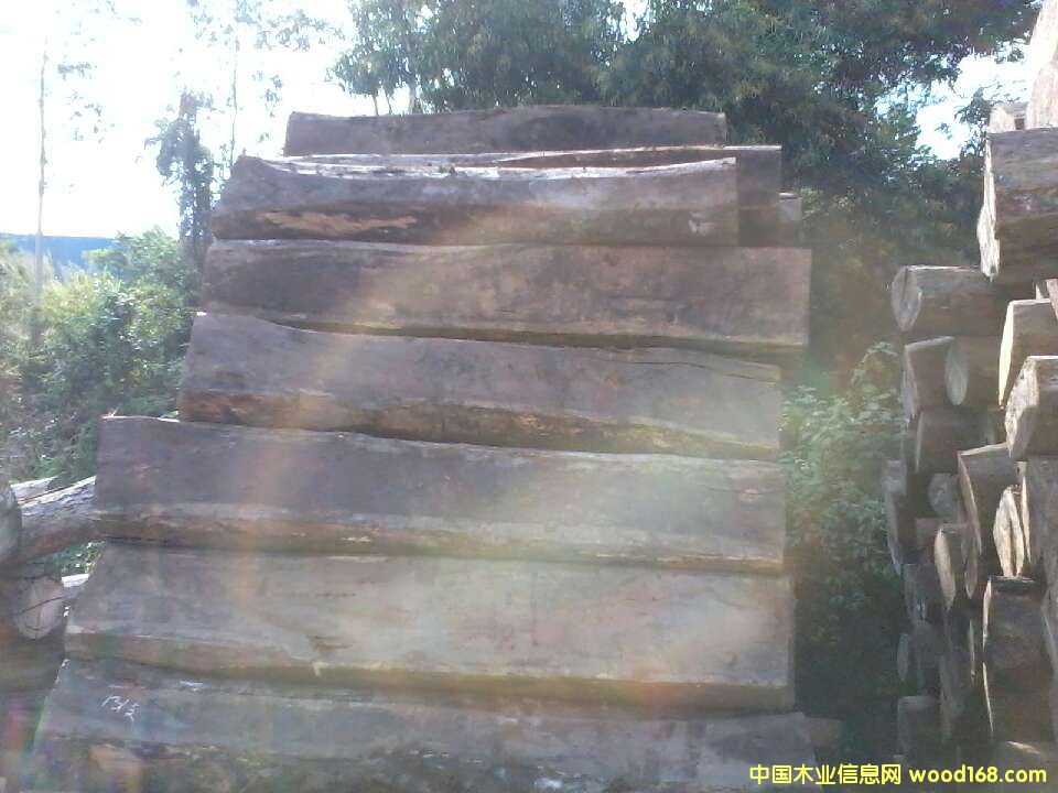 �����̴��Ԕ����B