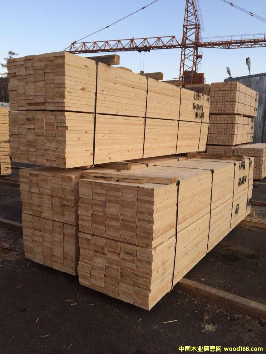 ���_˹�����ɺ�ɰ�� SF����1-4���� ��Ԕ����B