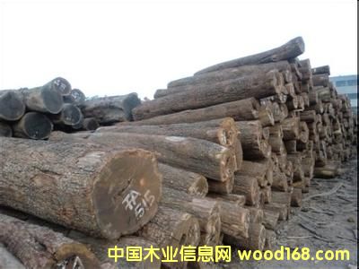 �ǄPԴľ�I�̓r��������̴��ԭľ�����ޣ�