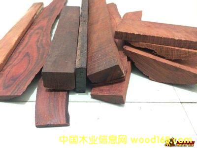 С�~��̴������ �F(xi��n)؛������Ԕ����B