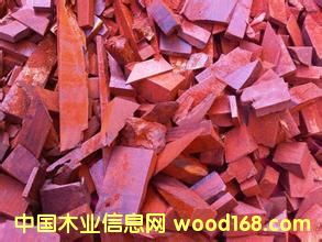 �M����С�~��̴߅���� ���l�r��