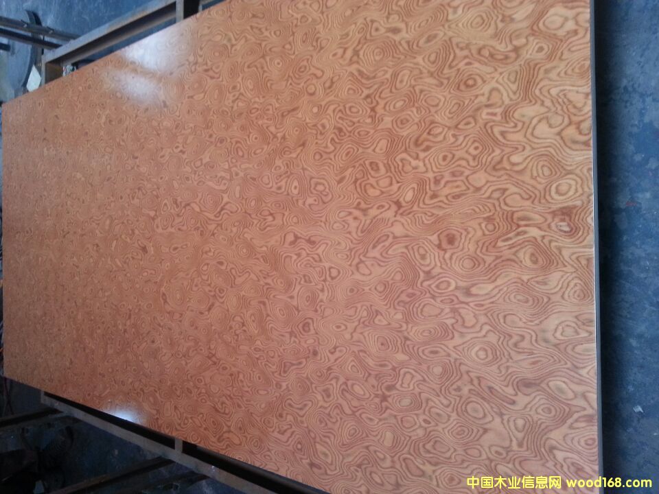 ��ɽ���A���w��I�����ߙn�Ҿ߰�ĵ�Ԕ����B