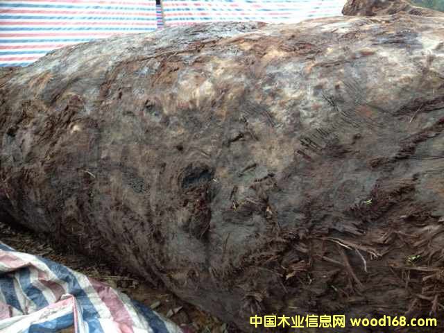 �c���鿴��z骞�ľ�Ŵ�DƬ