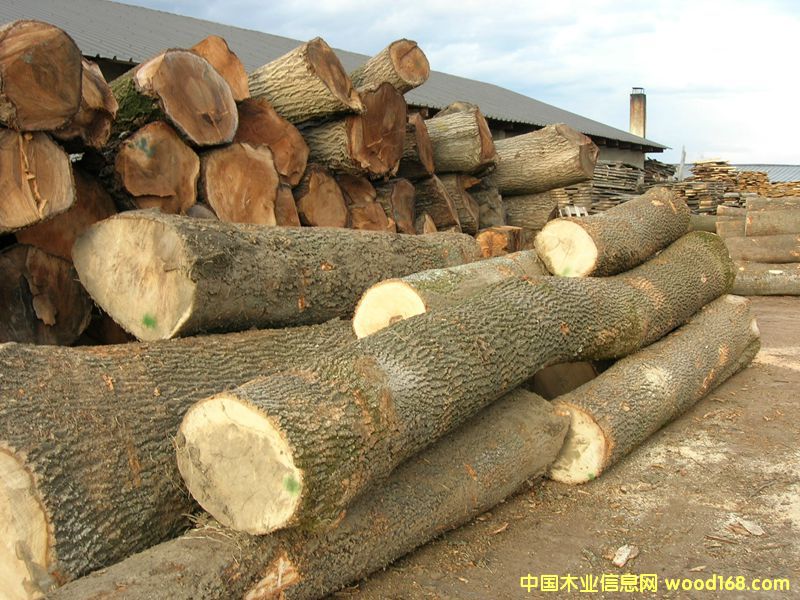 ���ڰ�Ϟ?z��i)?ԭľ�����M(j��n)�ڣ�