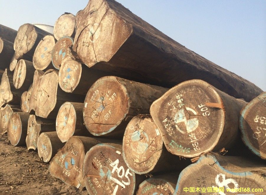 Bubinga �ͻ�