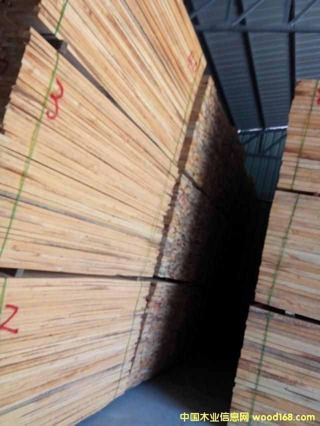 ���ϗ�ľ���ĵ�Ԕ��(x��)��B