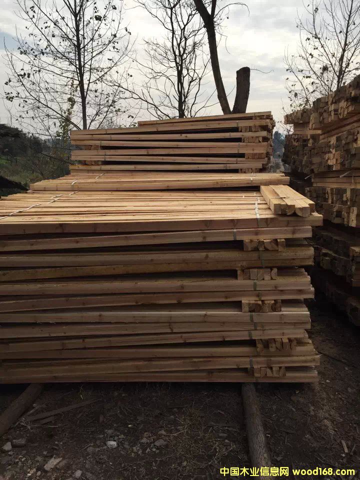 ɼľ���̷���Ԕ����B