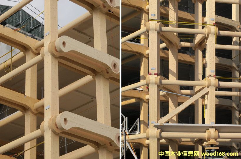 ��ʿ����ľ�Y�����