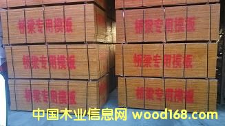 ������15mm��Ԕ����B