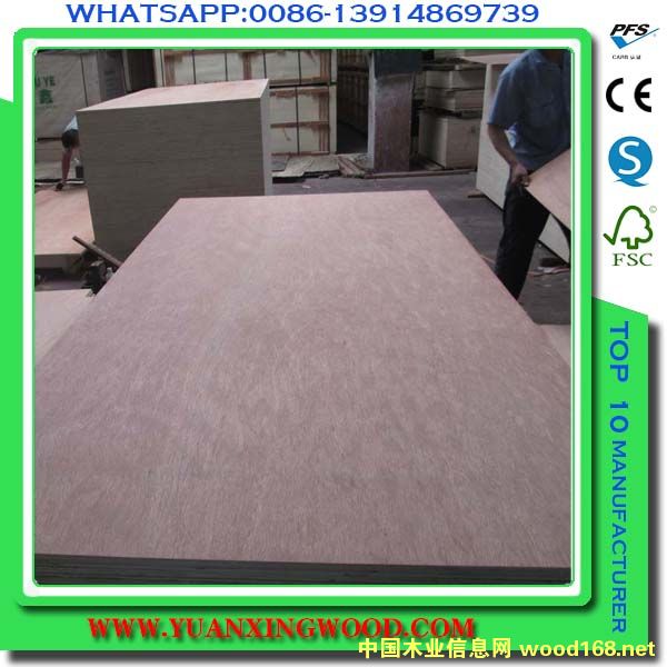 ���ǹ��z�ϰ��Ԕ��(x��)��B