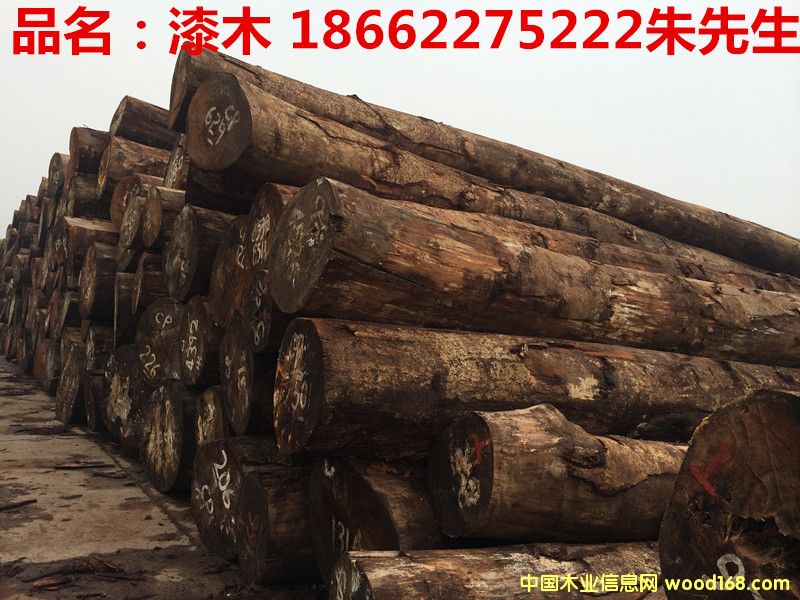 ��ľ��Ԕ����B