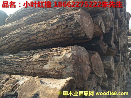 С�~�t̴��Ԕ����B