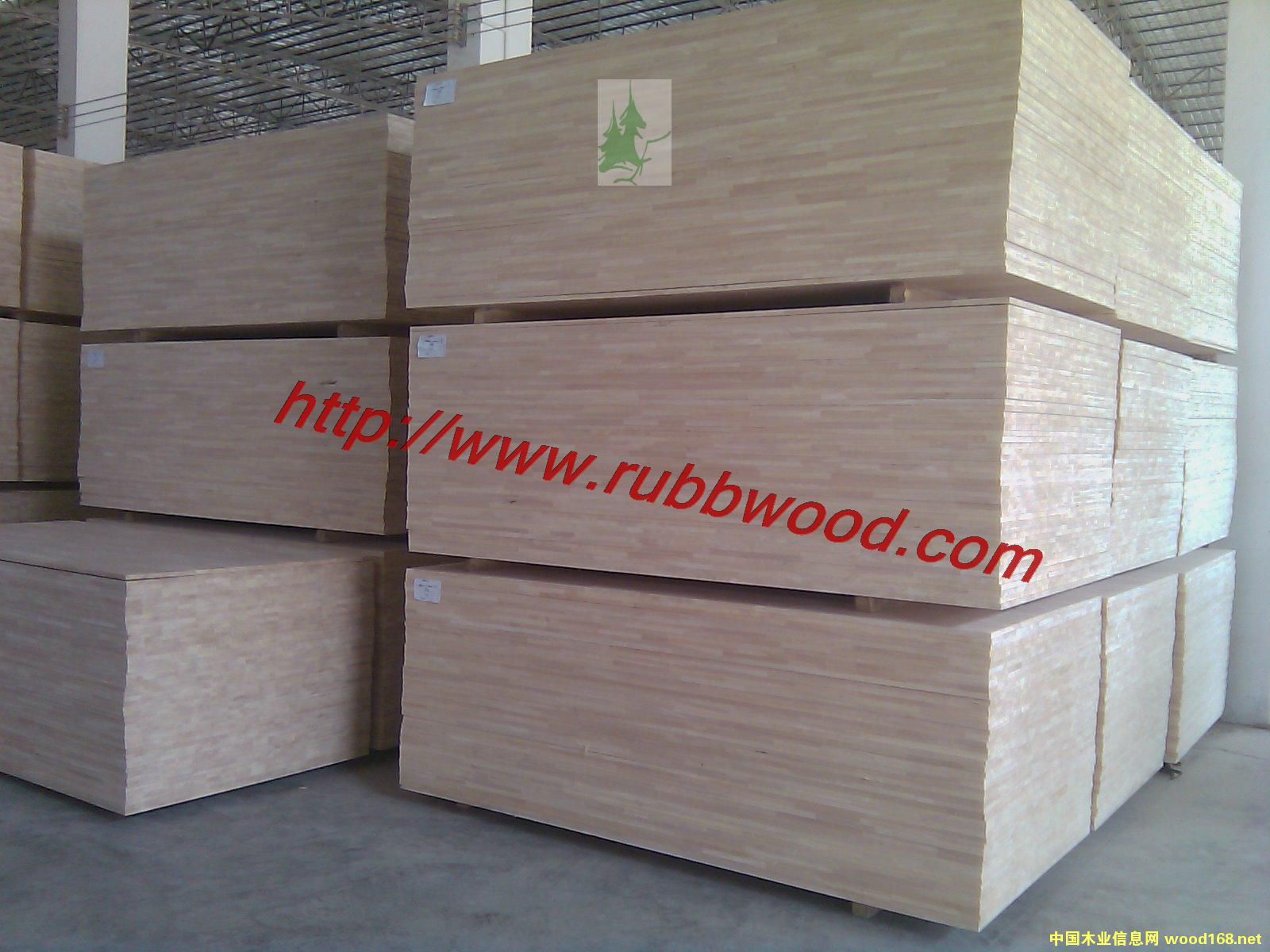 12�����zľָ�Ӱ��Ԕ����B