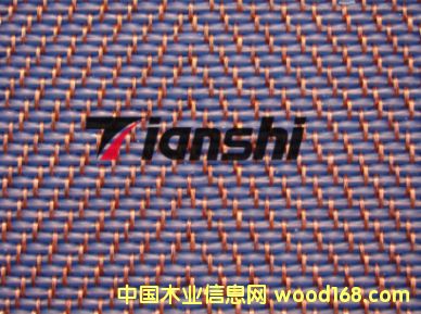 ���~���a(ch��n)���z��Ԕ����B