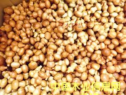 ���J��Ԕ����B