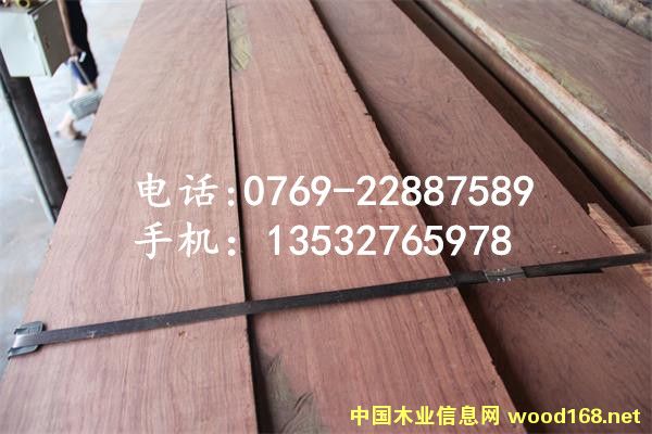 �ͻ�5����
