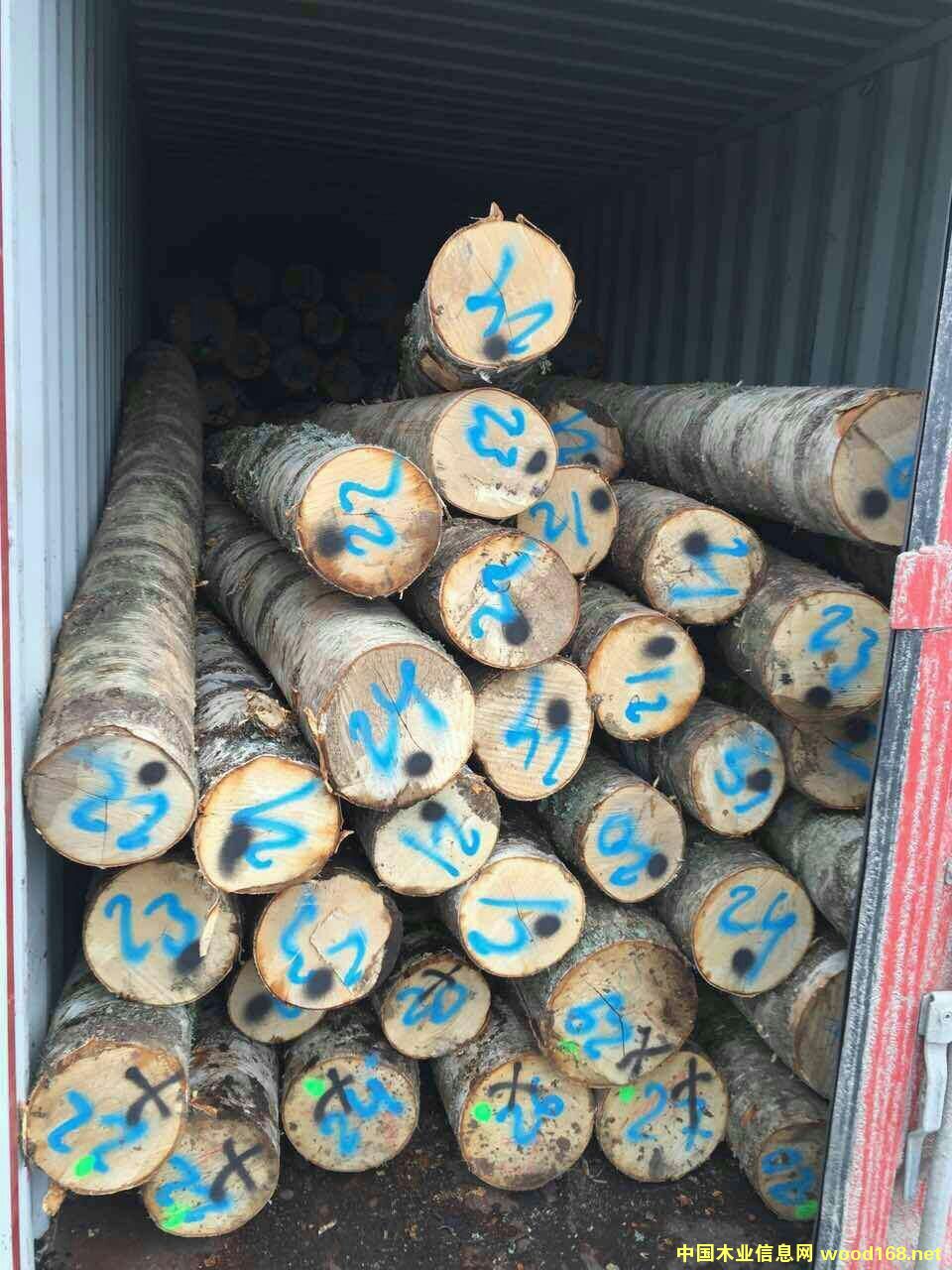 ��Ó�S����ľԭľ��Ԕ����B