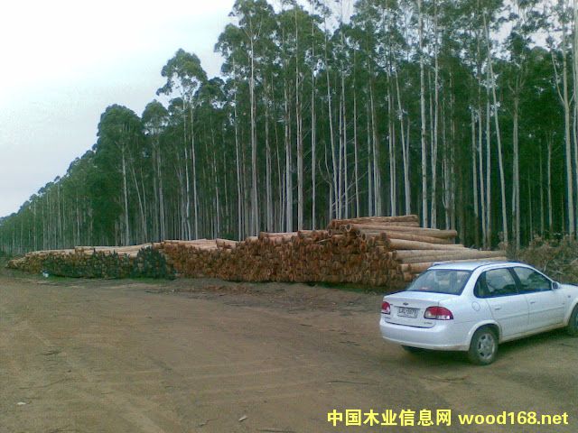 õ�����Ԕ����B