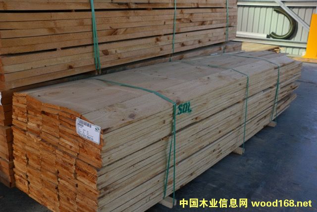 ݗ���ɰ�ĵ�Ԕ����B