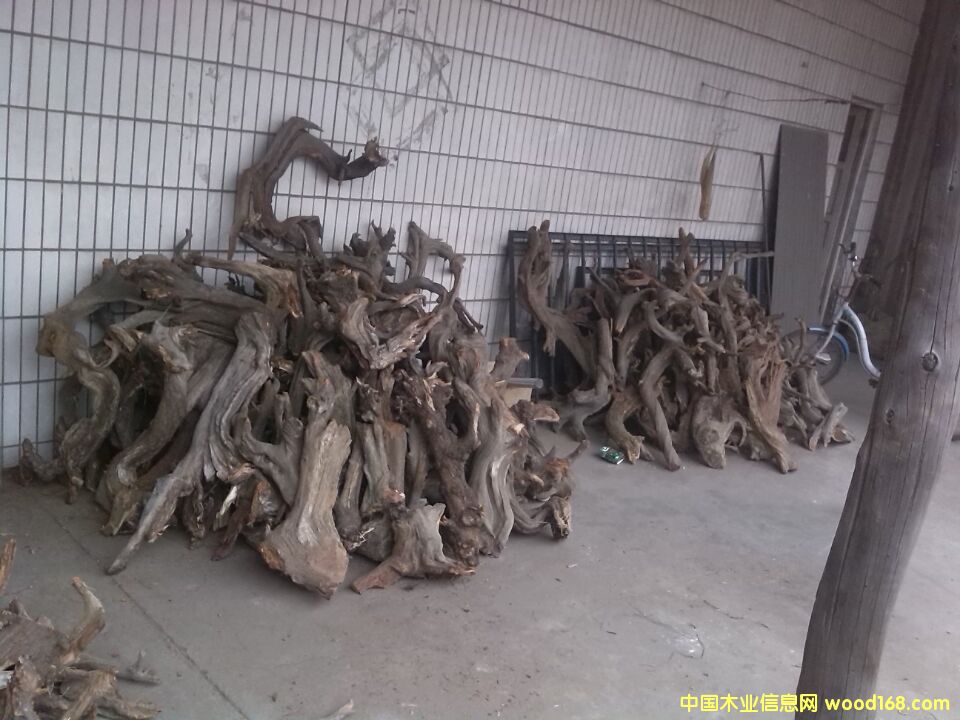 �c���鿴���|�°طŴ�DƬ