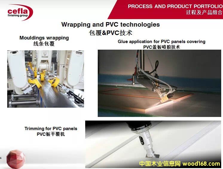 CEFLA�����T���ԄӇ��z�O��