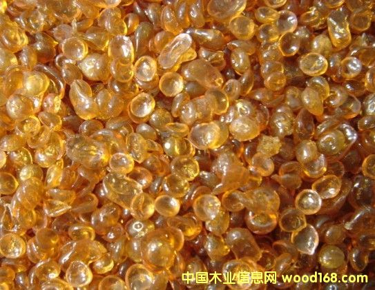 ���z/�����z��Ԕ����B