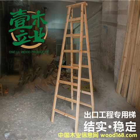 ��ľ�����ݵ�Ԕ����B