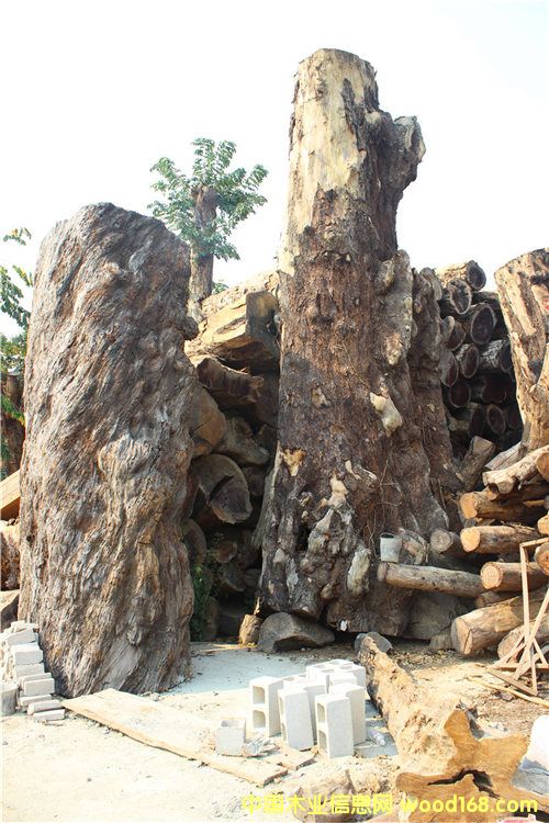 �S��骾ޘ��Ԕ����B