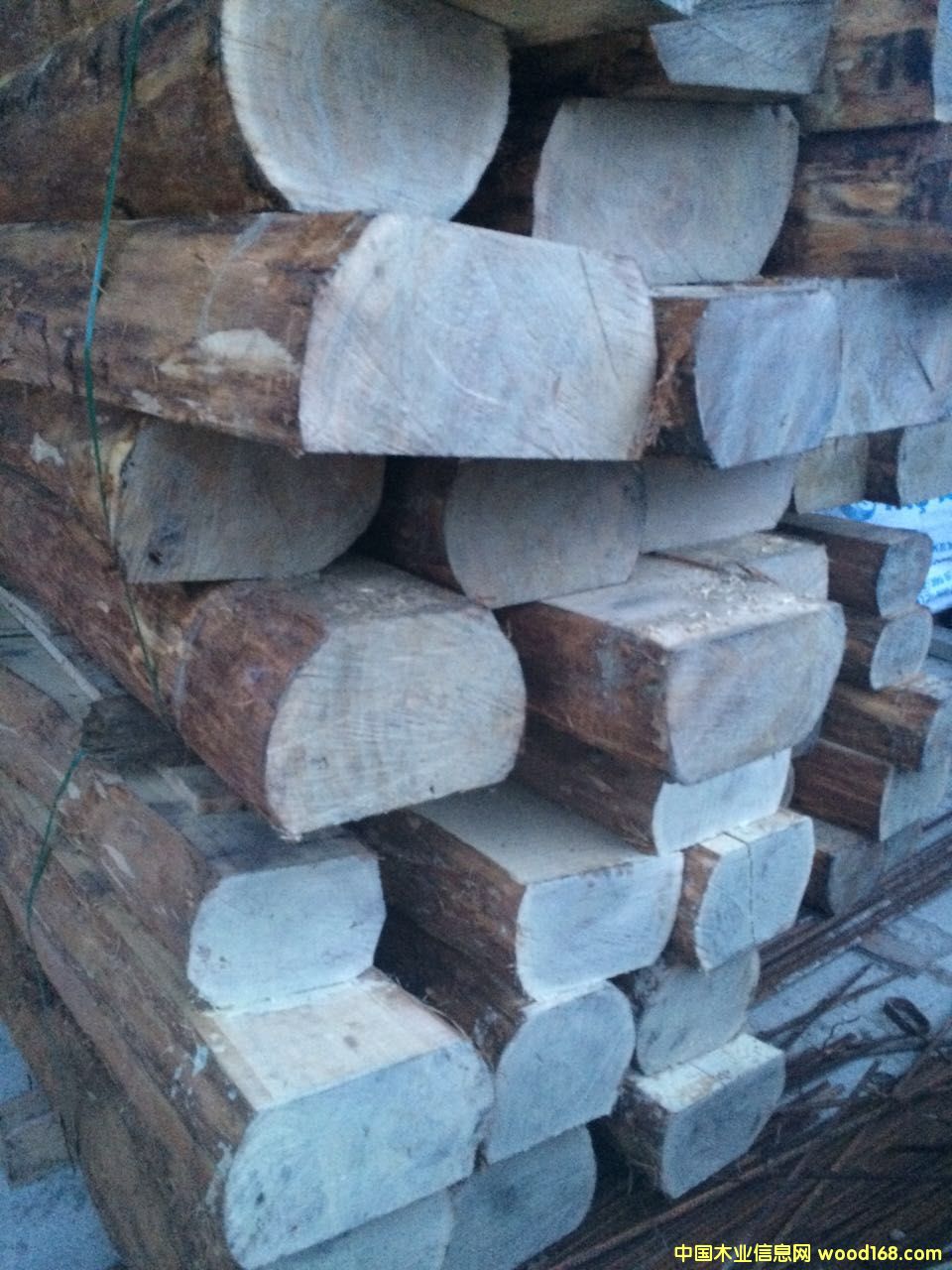 ���_˹�Ϸ��M����ľ��Ԕ����B