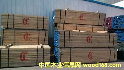 �����t��ľ��Ԕ����B